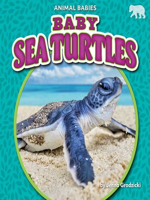 cover image of Baby Sea Turtles